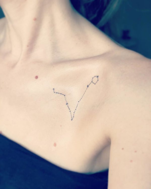 Fine line pisces constellation tattoo on the ankle
